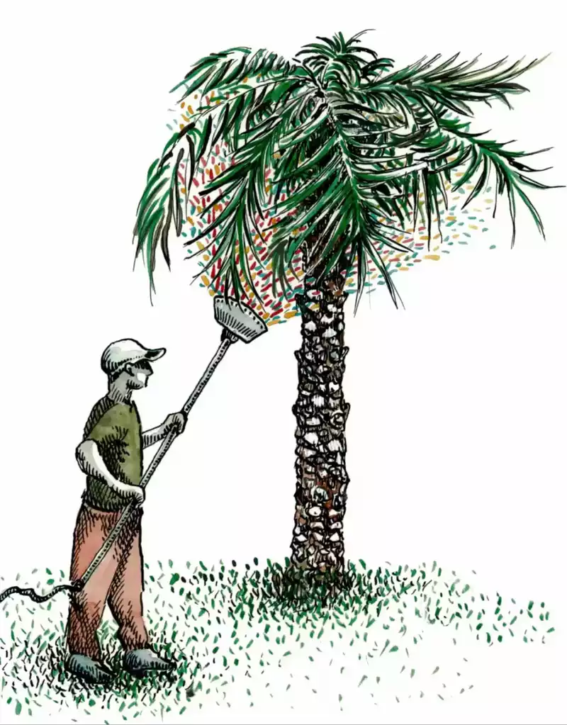 Traitement des palmiers Dans La Ramure Du Feuillage Dans La Ramure Du Feuillage